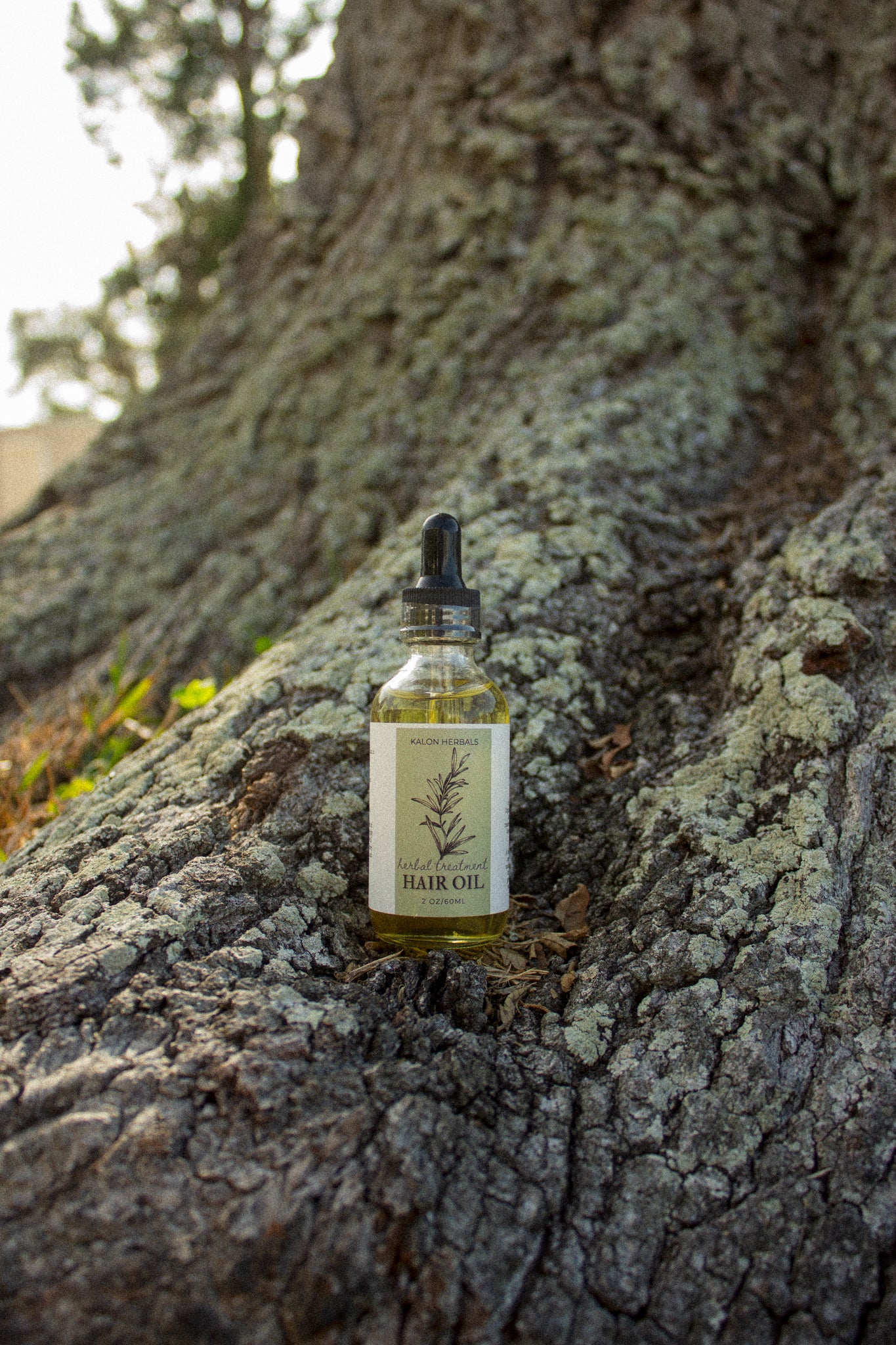 Herbal Hair Treatment Oil