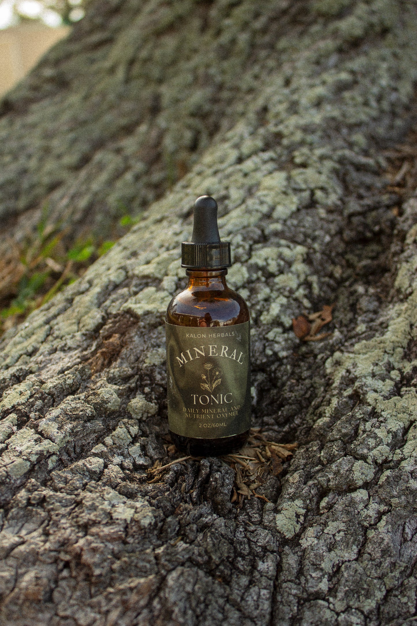 Mineral & Nutritive Oxymel