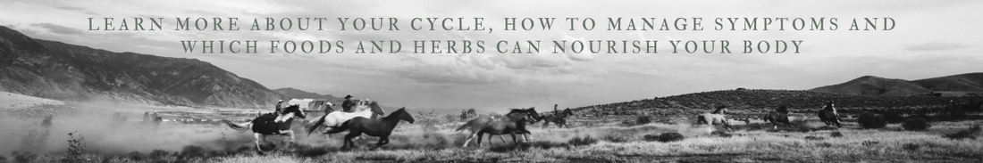 Understanding The Four Phases Of The Menstrual Cycle
