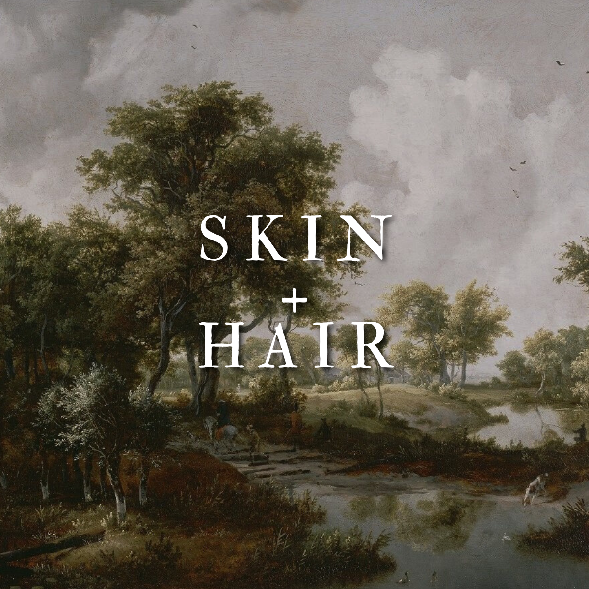Skin and Hair
