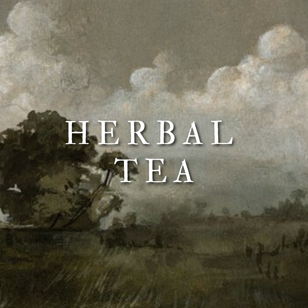 Tea