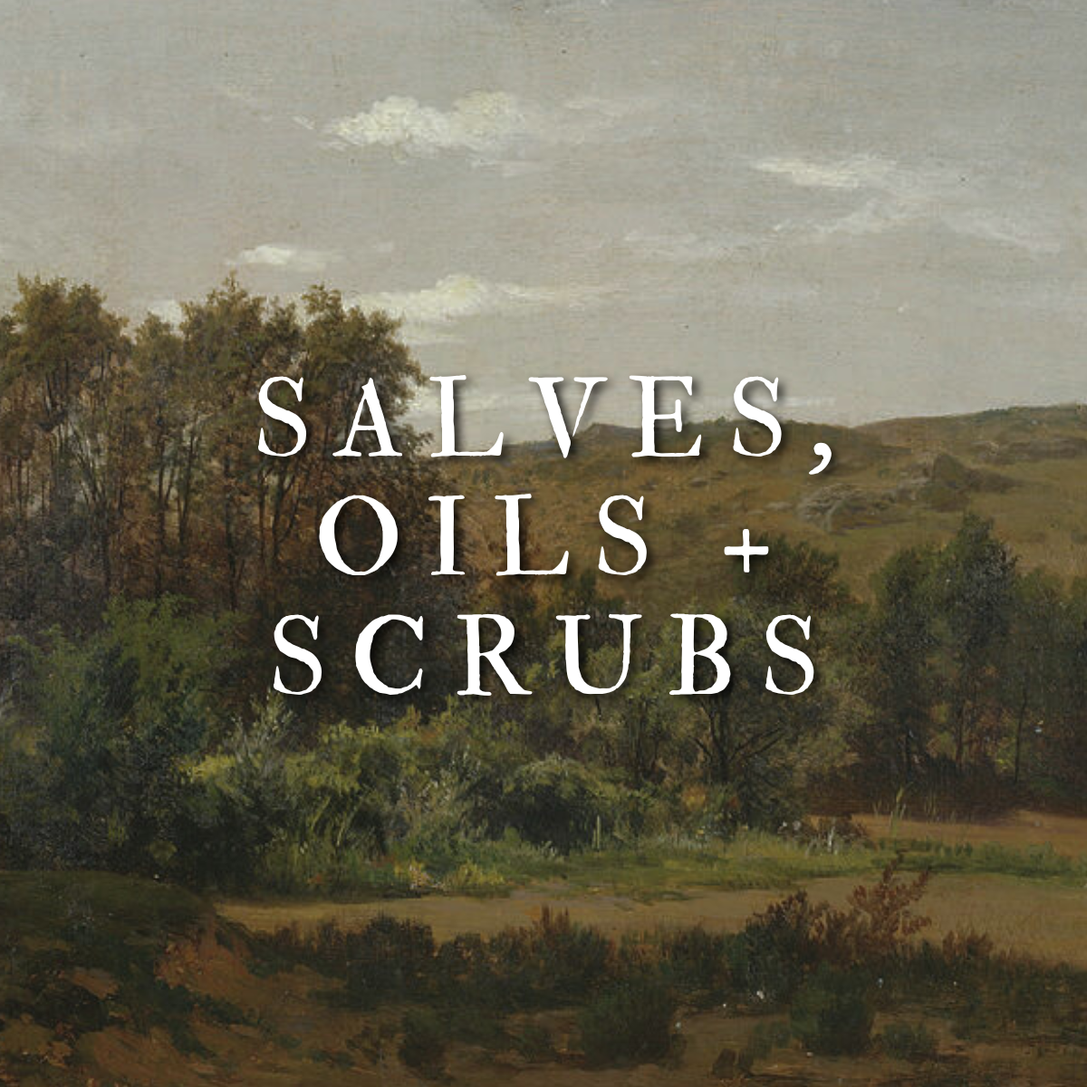 Salves, Oils, and Scrubs