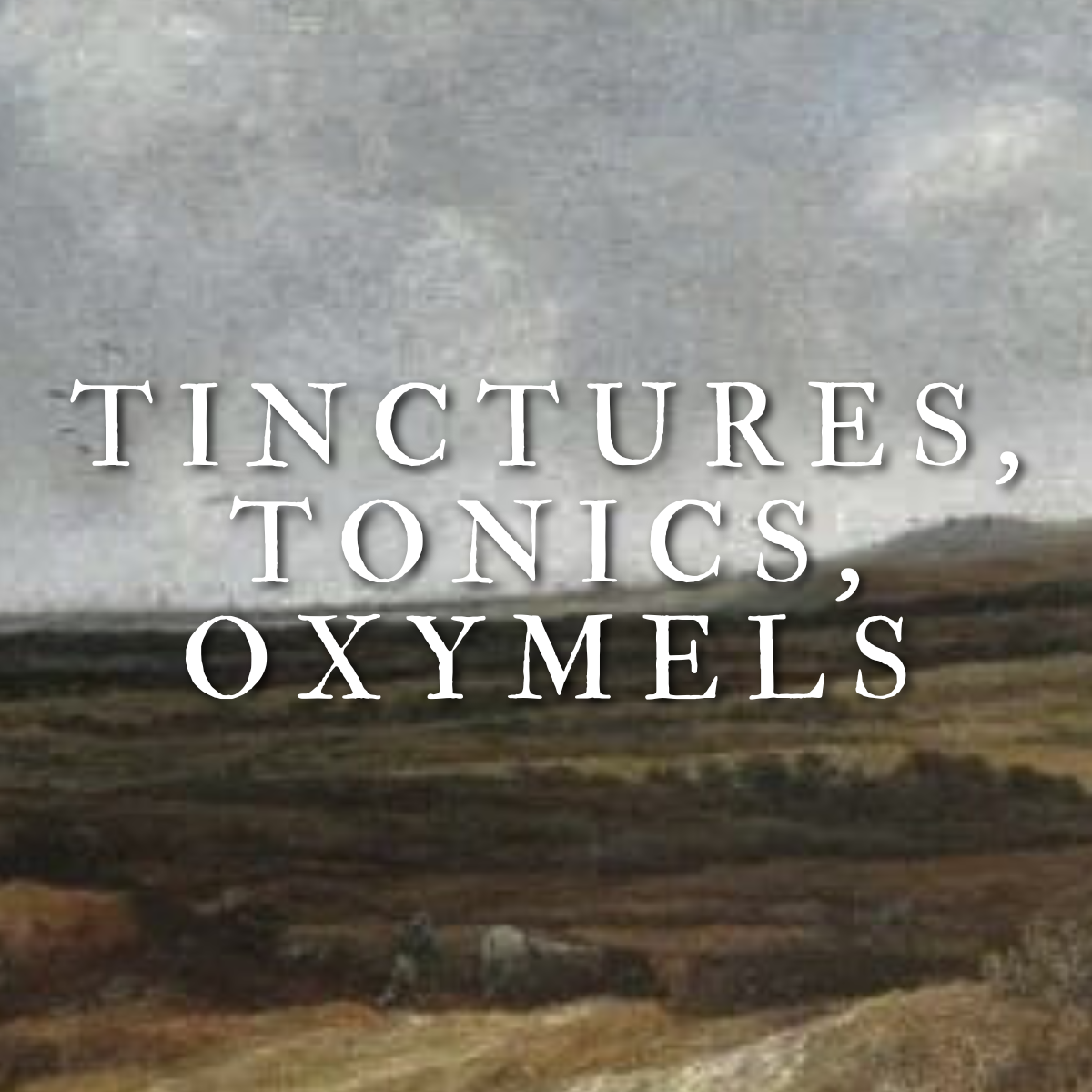 Tinctures, Tonics and Oxymels