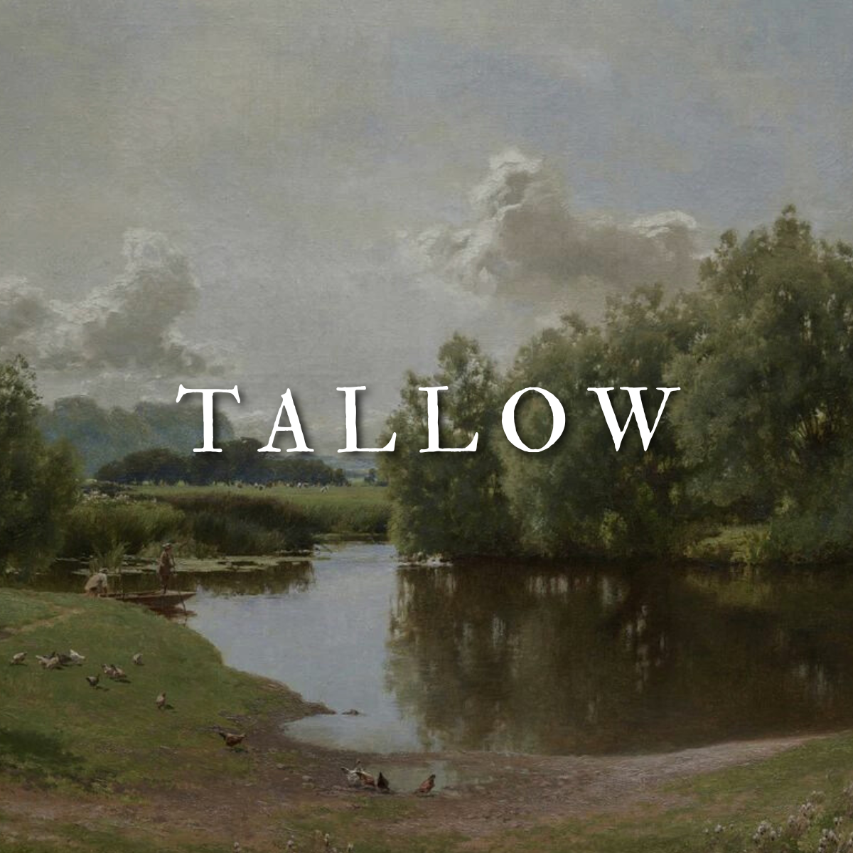 Tallow
