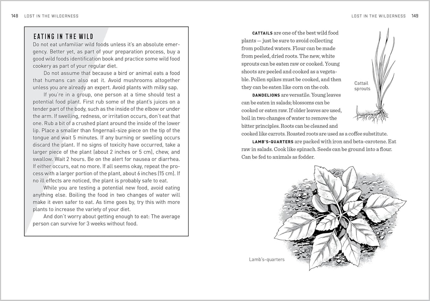 The Natural First Aid Handbook