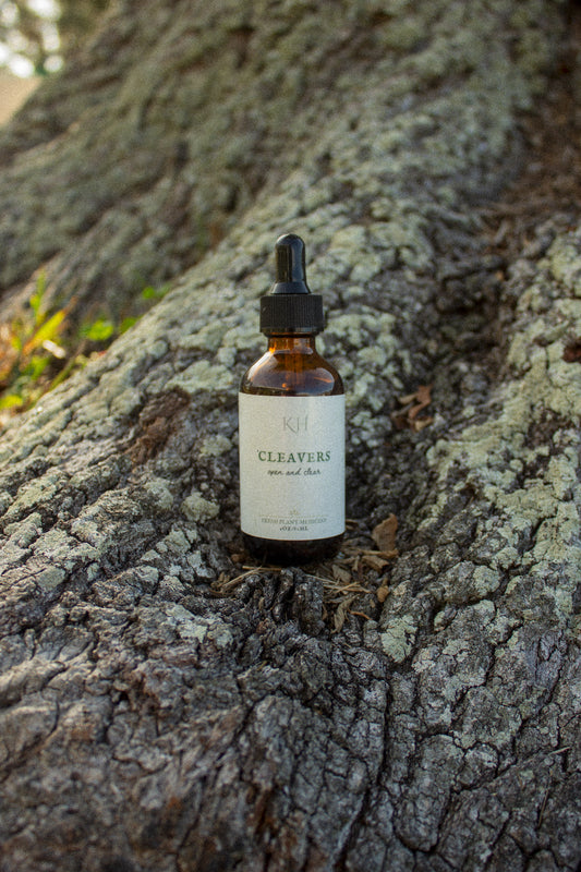 Cleavers Tincture