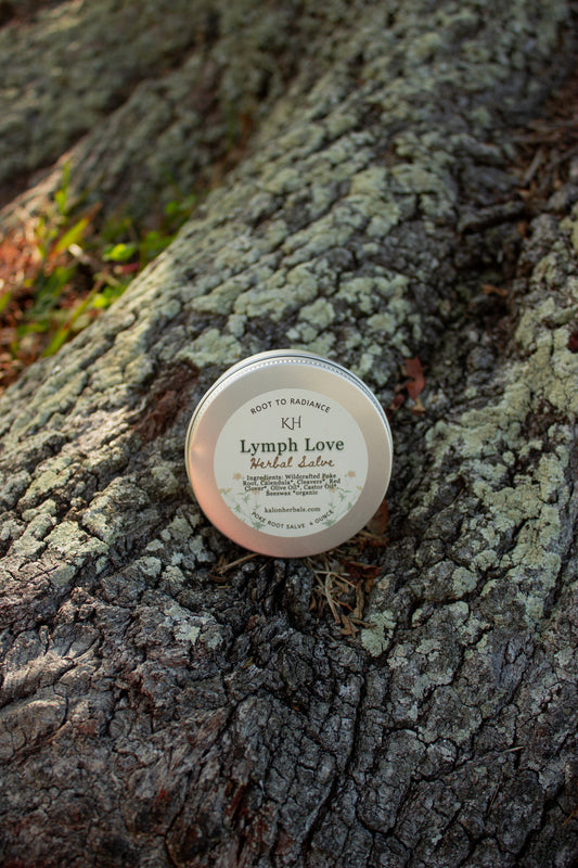 Lymph Love Poke Root Herbal Salve