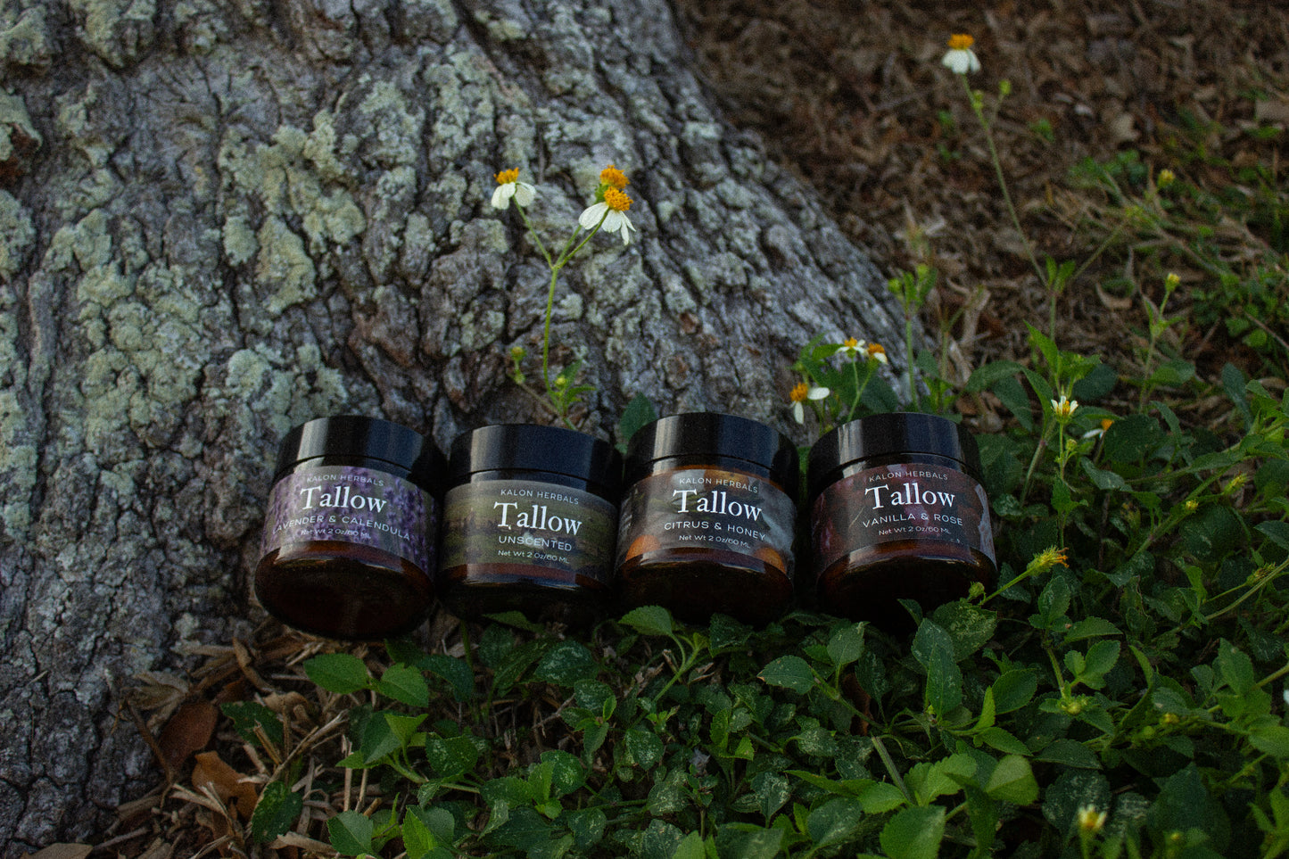 Tallow